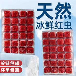 冰冻红虫赤红线虫牛心汉堡精品鱼食丰年虾卵七彩神仙鱼观赏鱼饲料