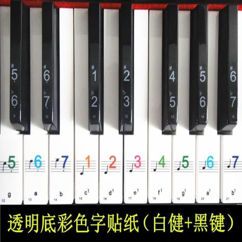 ￥19800 加宽加厚鹦鹉金杯百乐适用 120贝斯优质头层牛皮手风琴背带