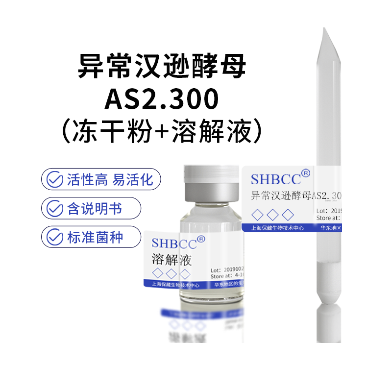 异常汉逊酵母AS2.300非模式菌株麦芽汁琼脂培养基28度培养活化