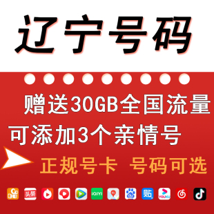 辽宁沈阳大连电信手机电话卡流量卡低月租4G5G上网卡0月租无漫游