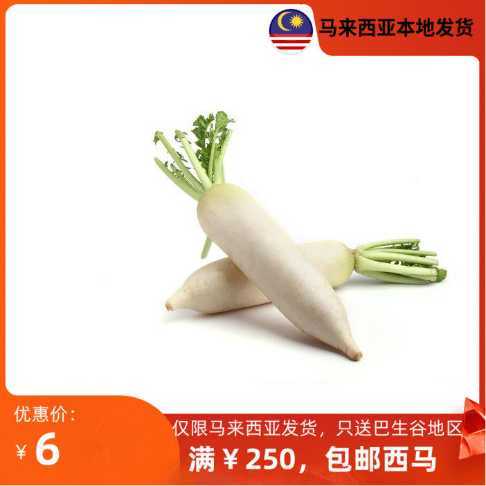 cameron white radish 500g 金马伦白萝卜 马来西亚发货