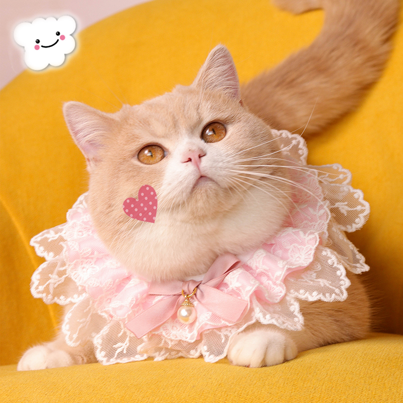 韩国熊拍照饰品通用宠物猫咪子项圈口水巾蕾丝项圈泰迪比