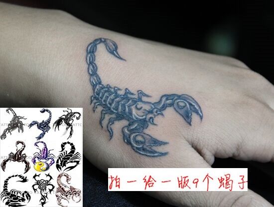 纹身贴男图腾仿真_蝎子图腾纹身贴纸男女款手臂虎口贴画持久防水仿真