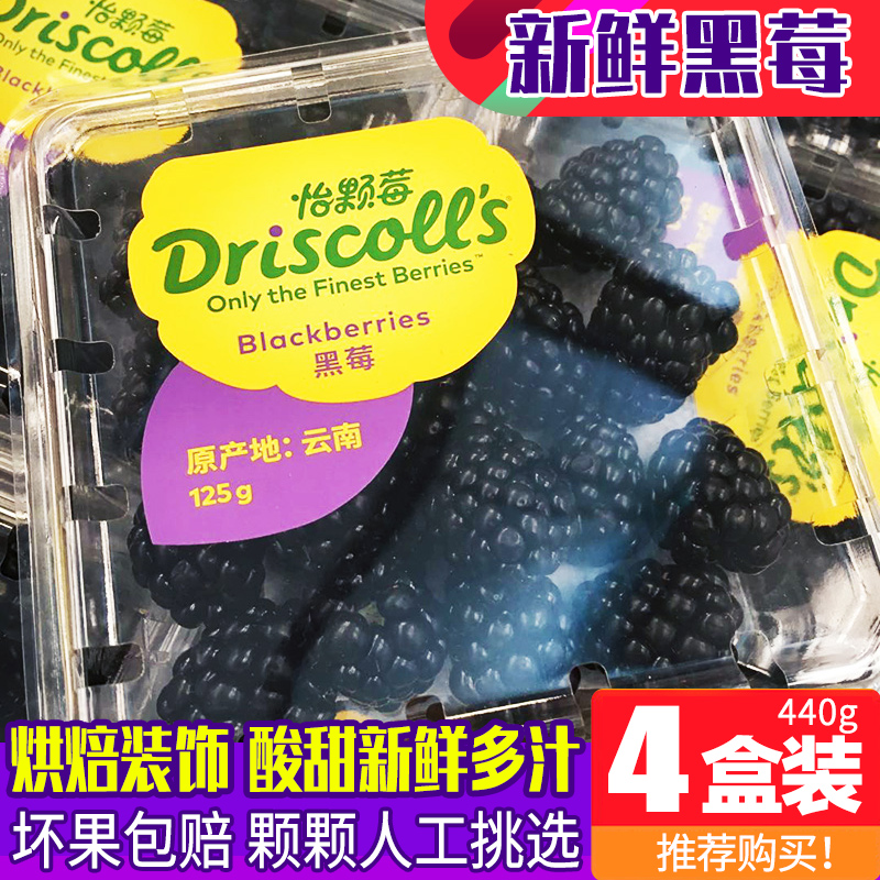 新鲜黑莓鲜果4盒装黑莓水果覆盆子黑树莓果桑葚果稀有热带水果在类目 水产肉类/新鲜蔬果/熟食, 新鲜水果, 其它中 - 来自Buy2taobao.com提供专业的淘宝代购服务