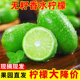 新鲜无籽香水柠檬现摘水果青柠当季海南奶茶店商用5斤广东整箱