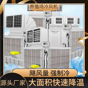 定制养殖场专用工业冷风机移动环保水冷空调降温大型工厂房商用冷