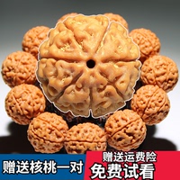 大金刚菩提手串男士新籽原籽大金刚菩提子佛珠手链7七8八瓣念珠
