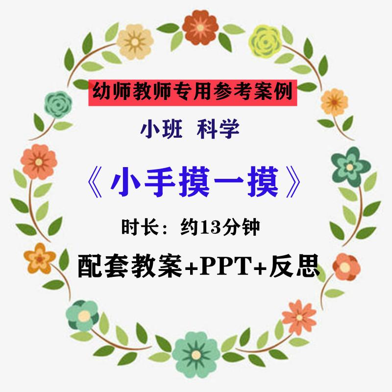 【幼师参考】幼儿老师集体教学公开课案例小班科学《小手摸一摸》