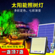 太阳能照树灯景观庭院灯2025新款户外灯七彩防水室外花园氛围射灯