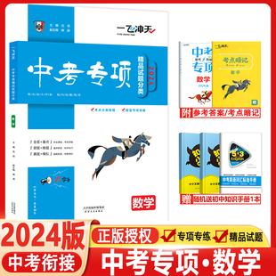 2024版天津一飞冲天中考专项精品试题分类数学初中总复习专题分项练习中考一轮复习