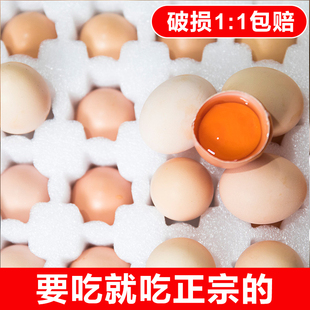 正宗农家散养土鸡蛋新鲜30枚杀菌鸡蛋放养初生蛋草鸡蛋笨鸡蛋
