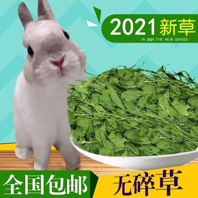 苜蓿草新鲜牧草干草兔子龙猫荷兰猪粮食饲料幼兔兔粮紫花苜宿草料
