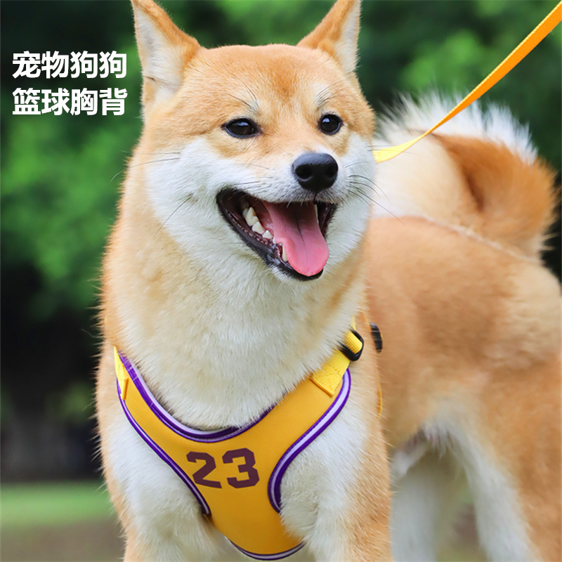 狗狗牵引绳背心式中小型犬狗绳篮球运