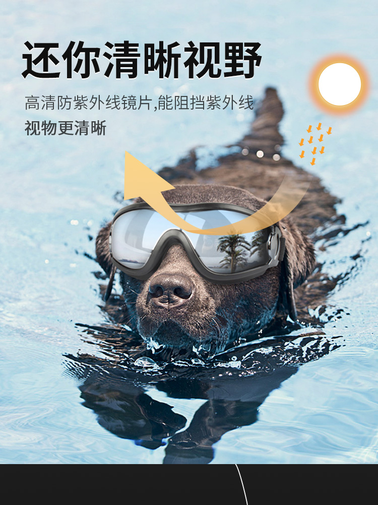 狗狗护目镜防风眼镜宠物太阳镜犬用墨镜客户边牧金毛泰迪游泳镜在类目 宠物/宠物食品及用品, 宠物服饰及配件, 其它服饰配件中 - 来自Buy2taobao.com提供专业的淘宝代购服务
