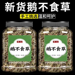 鹅不食草中药材新鲜正品鹅不食干货石胡荽野生无硫鹅不吃草中草药