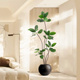 室内仿真绿植橡皮树仿生客厅盆栽落地沙发边小摆件高档假植物装饰