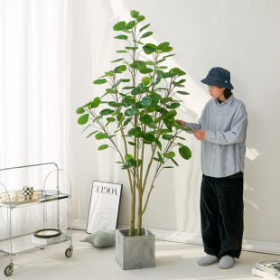 仿真绿植金钱兜高端轻奢假树植物盆栽室内客厅装饰家居落地摆件