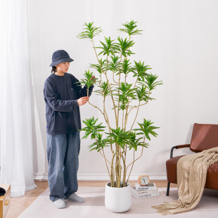 北欧ins风仿真百合竹落地植物盆栽室内客厅大型装饰绿植假树摆件