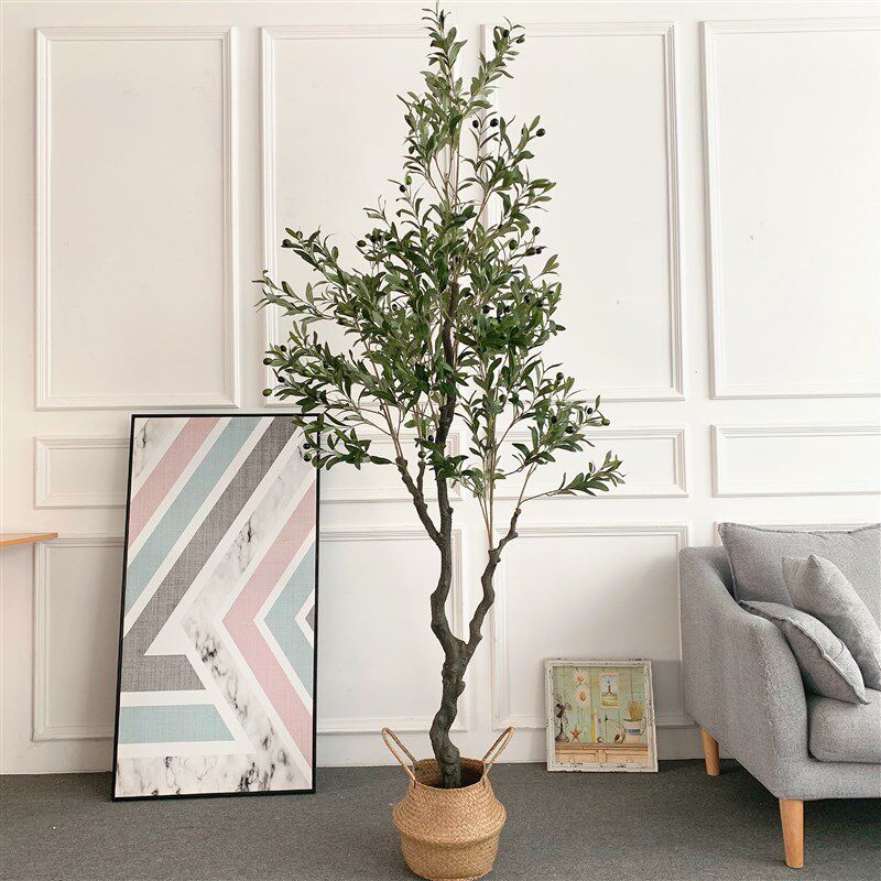 大厅内真橄榄树网红盆景w油橄榄服装店橱窗室仿客型落地摆件