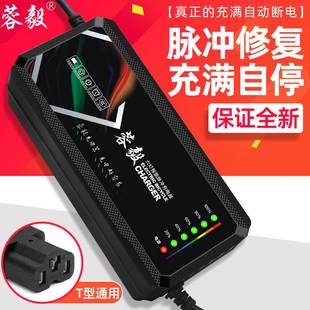 原装电动车充电器48V12AH20AH60V72伏爱玛雅迪台铃电车石墨烯通用