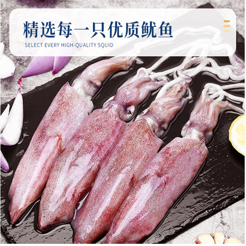 新鲜鱿鱼1斤鲜活冷冻冰鲜海鲜乌贼烧烤火锅冷冻鱿鱼
