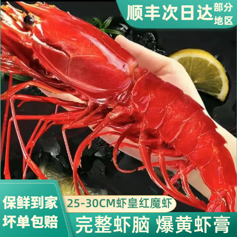 红魔虾鲜活特大生吃刺身海鳌虾海鲜水