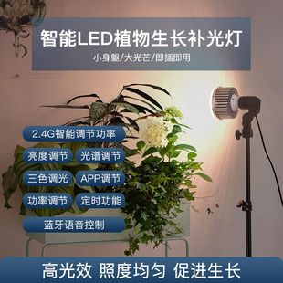 植物补光灯生长灯室内全光谱花卉光合作用家用仿太阳光灯专业级