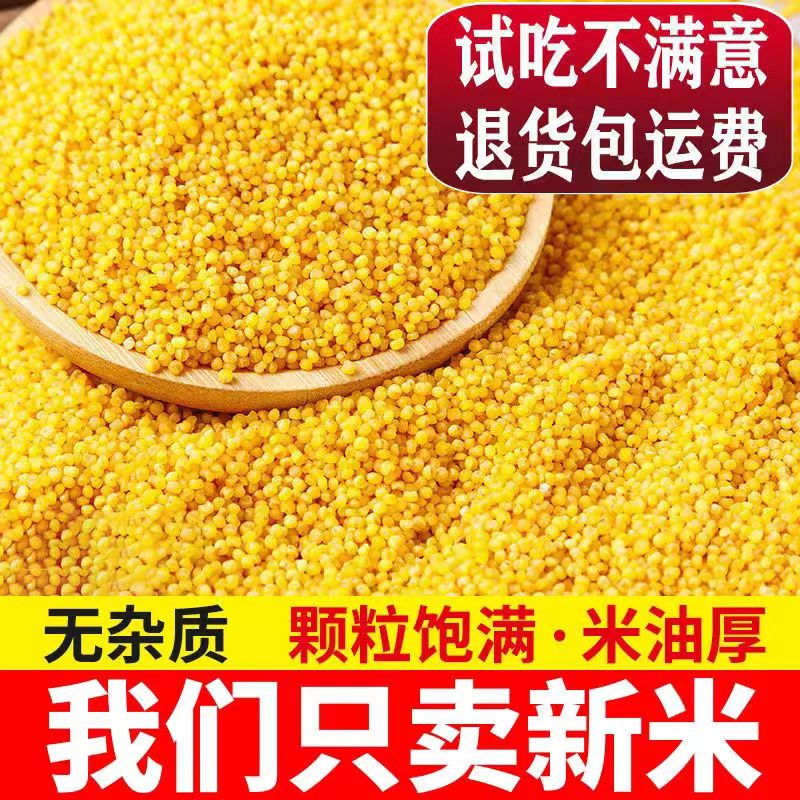 【不好吃包退】2023新鲜黄小米农家老品种米油多宝宝月子产妇米粥