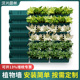 植物墙垂直绿化种植槽花盆户外立体园林绿植墙工程壁挂围挡种植盒