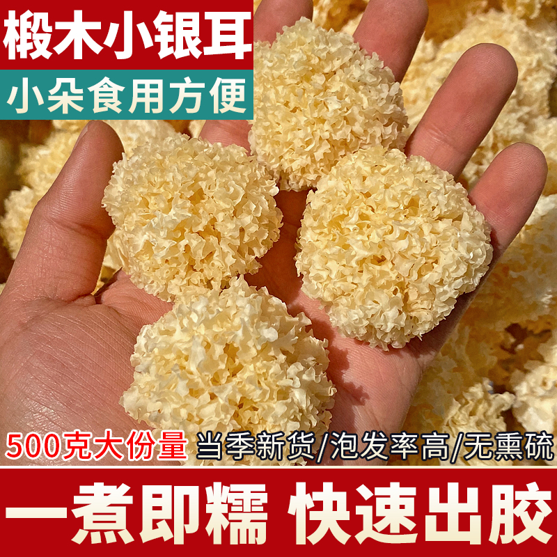 椴木小银耳干货500g 特级白木耳雪耳糯耳孕妇桃胶伴侣非通江野生