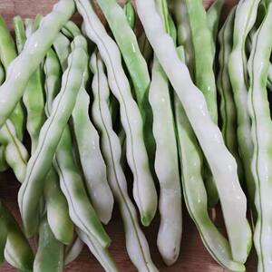 豆角白不老豆角新鲜东北架豆王老来少芸豆四季豆白架豆农家蔬菜1/5斤