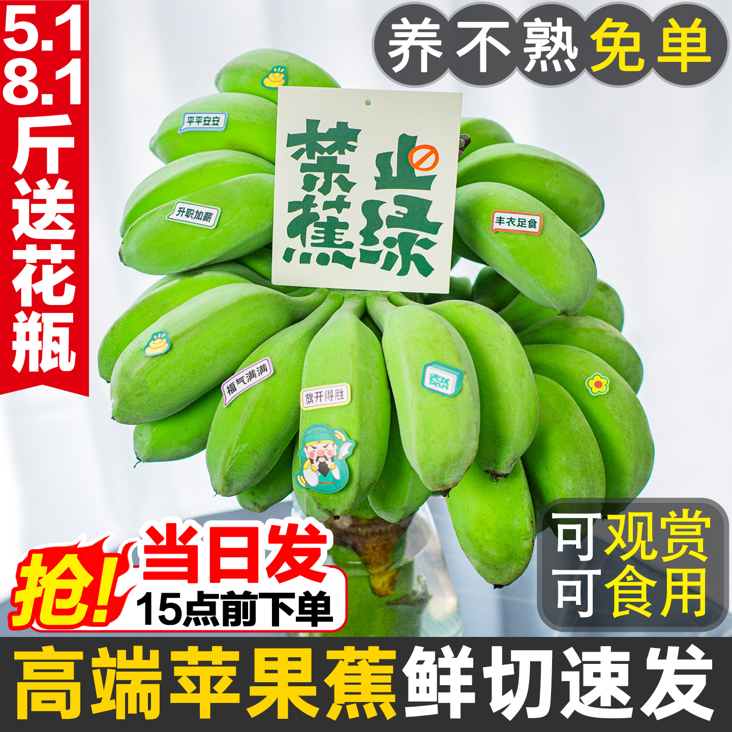 水培香蕉禁止蕉绿苹果蕉整串青香蕉拒