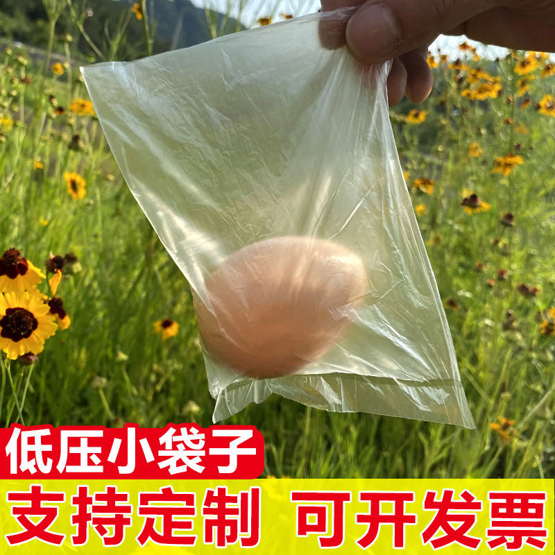 小号塑料袋迷你超薄一次性透明包装袋 PE平口袋装 假水果玩具模型