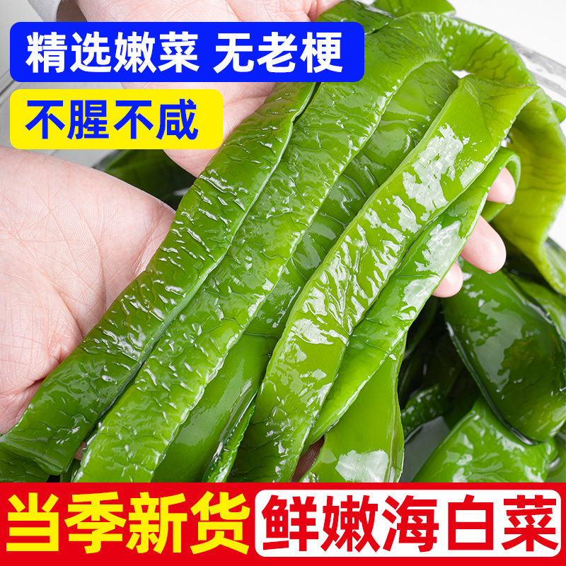 海白菜新鲜盐渍裙带菜梗整箱海白菜商