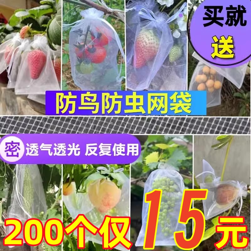 果树套袋防虫防鸟袋子草莓无花果石榴葡萄番茄保护果实专用纱网套