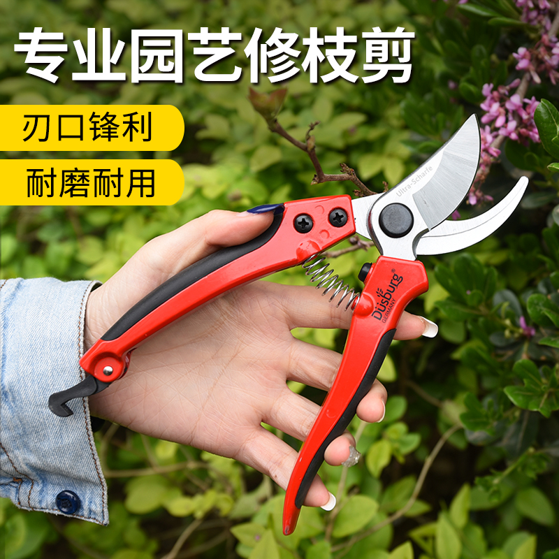 德狮宝园艺修枝剪刀德国果树剪树枝剪子修剪粗枝剪子园林剪省力德