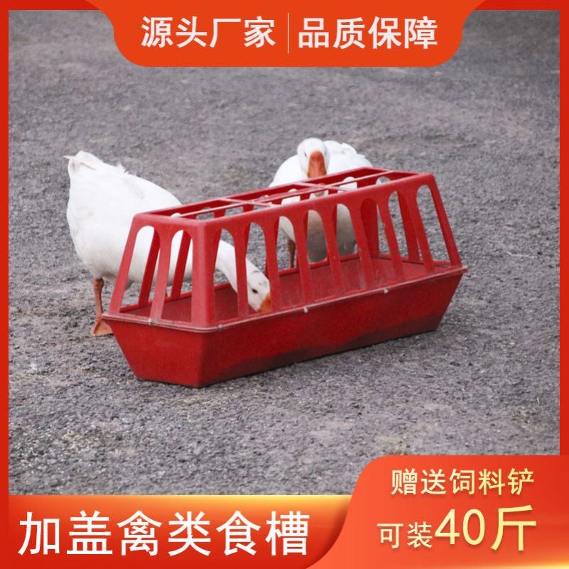 鸡食槽带喝水喂水槽小鸡饮水器散养鸡喂食器喂鸽子的鸡鸭鹅神器