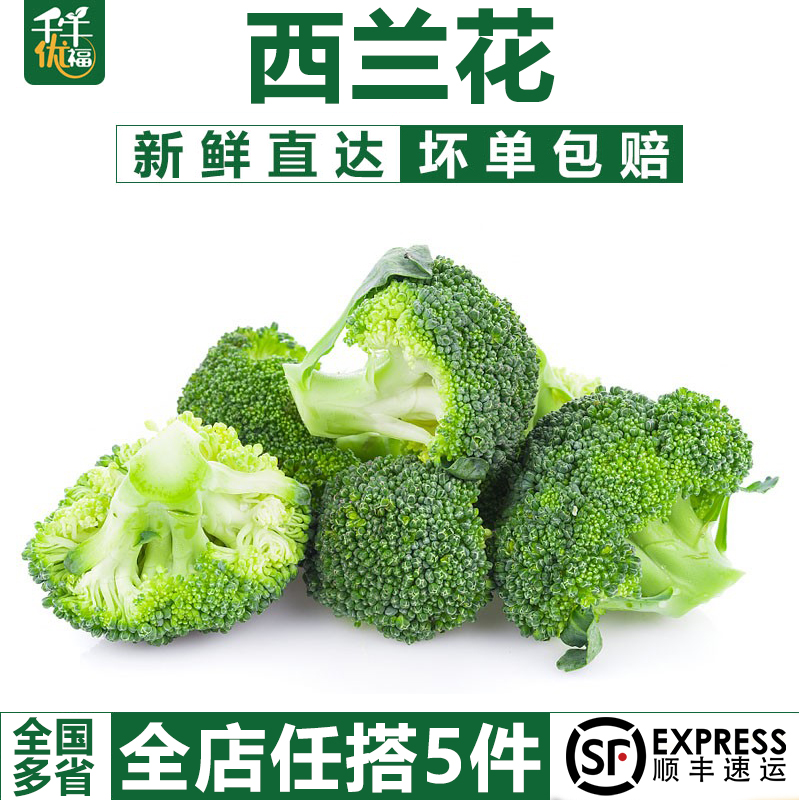 【千牛优福】西兰花500g 新鲜脆嫩青花菜绿花菜西蓝花椰菜 农家菜