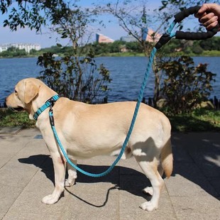 狗绳大型犬脖套夏季狗狗牵引绳不勒脖P链防爆冲拉布拉多遛狗p绳子