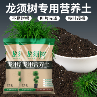 龙须树专用土绿植盆栽花卉通用营养土龙血树专用有机肥料种植泥土