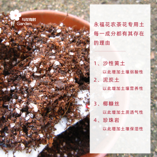 山茶花专用土盆栽月季花插杆营养土酸性通用型杜鹃种植花家用土壤