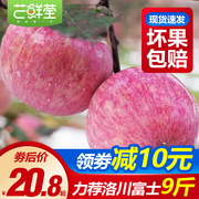 Shaanxi Luochuan Red Fuji apple 5-9 catties packed with fresh seasonal fruit fresh rock candy heart whole box of red flat fruit 10