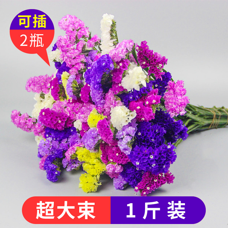 云南满天星勿忘我干花花束插客厅摆设干花真花装饰摆件鲜风干天然