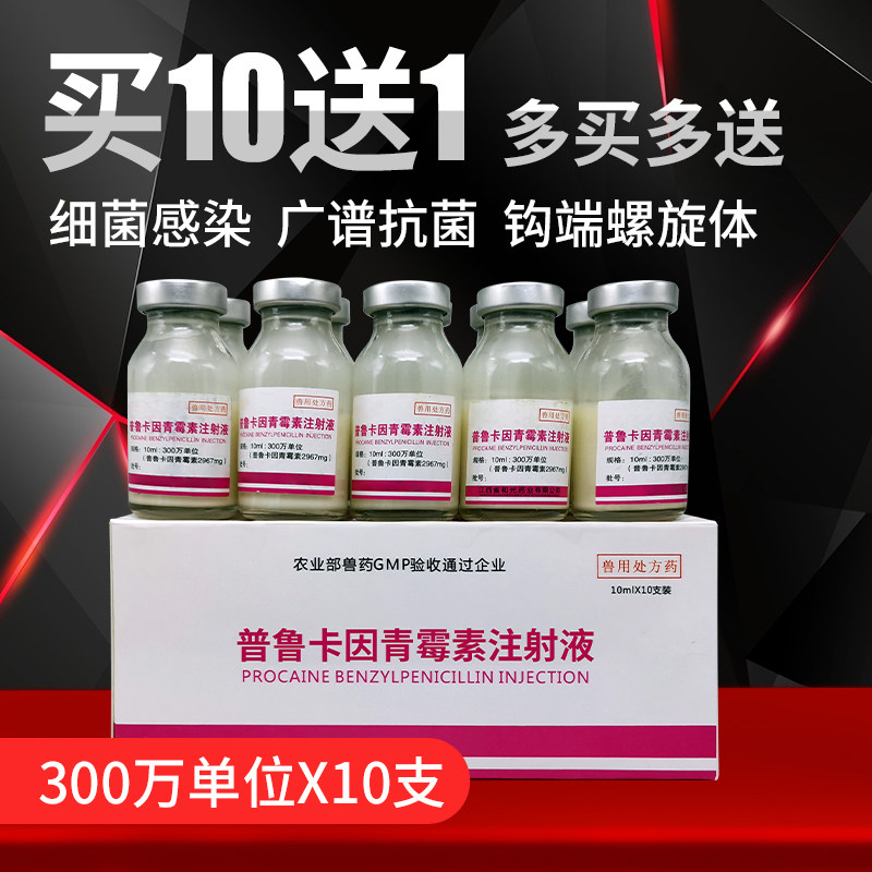普鲁卡因青霉素兽用注射液油剂兽药油脂青梅素猪药牛羊抗菌消炎