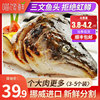 三文魚頭冷凍挪威三文魚邊角料煲湯魚頭批發商用采購新鮮冷凍包郵 三文魚頭冷凍挪威三文魚邊角料煲湯魚頭批發商用采購新鮮冷凍包郵