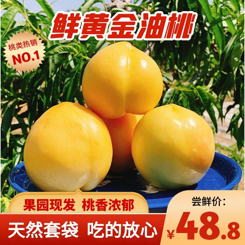 山東蒙陰黃金油桃4.5斤脆桃應季水果新鮮桃脆甜孕婦無毛桃子包郵1在類目 水產肉類/新鮮蔬果/熟食, 新鮮水果, 其它中 - 來自Buy2taobao.com提供專業的淘寶代購服務