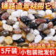 南京雨花石原石天然鹅卵石五彩小石子鱼缸花盆铺路庭院石头鹅软石