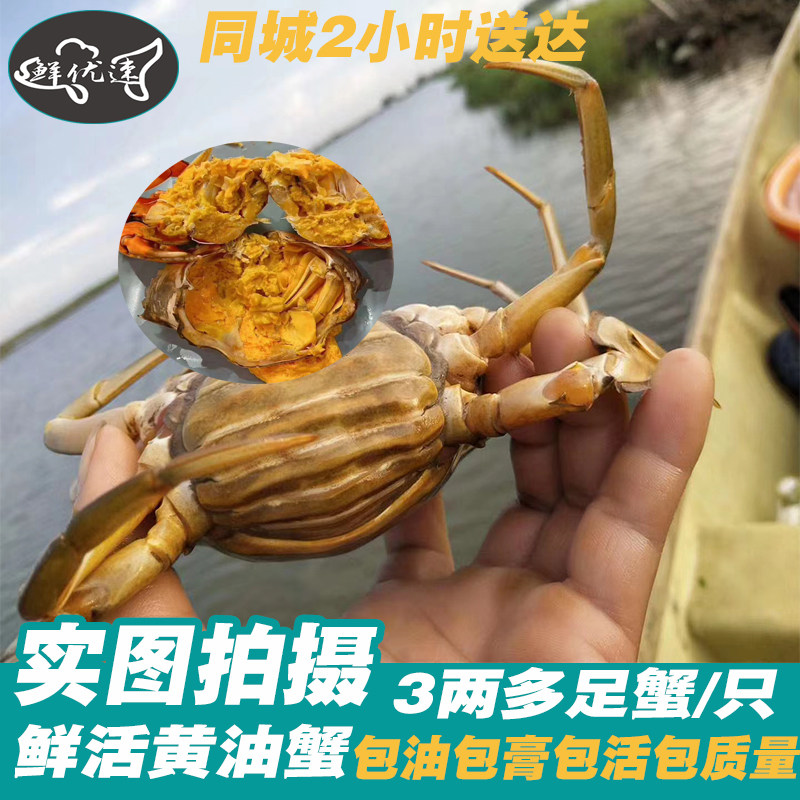 鲜优速黄油蟹鲜活水产螃蟹福永头手蟹特大油蟹3两多正宗包邮