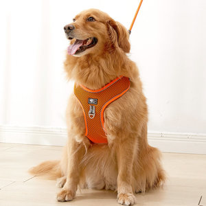 边牧狗牵引绳胸背带中型犬图片