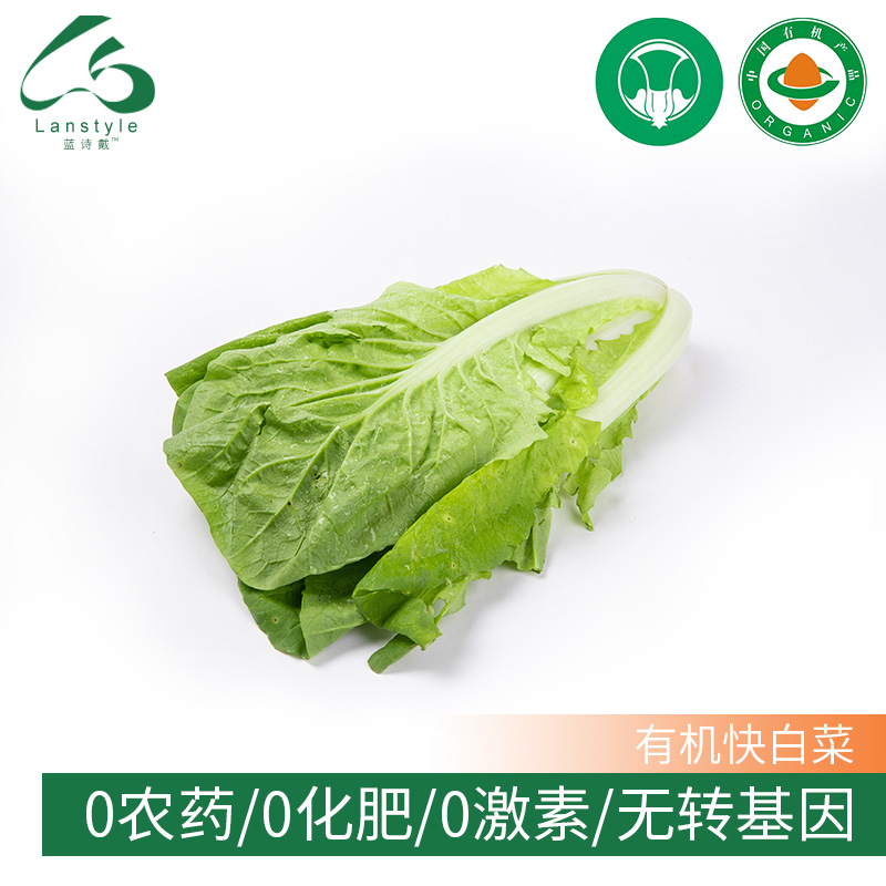 蓝诗戴有机蔬菜当季新鲜上市新鲜有机快白菜500g在类目 水产肉类/新鲜蔬果/熟食, 新鲜蔬菜/蔬菜制品, 净菜中 - 来自Buy2taobao.com提供专业的淘宝代购服务